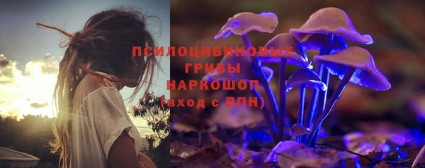 молекула духа Балахна
