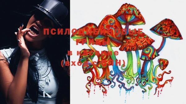 не бодяженный Баксан